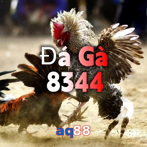 aq88
